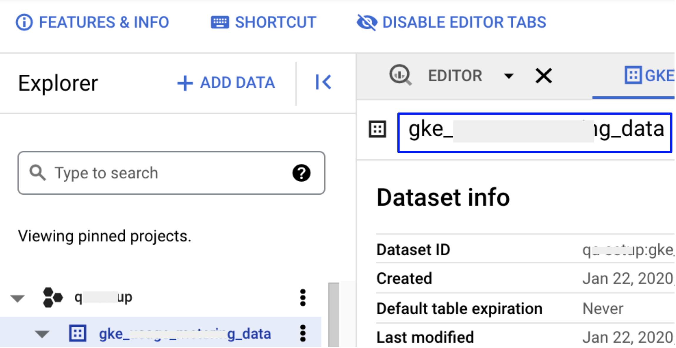 A screenshot that illstrates how and where to enter the dataset name.